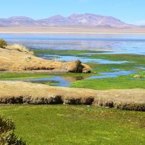 Meet your Posher, Diane